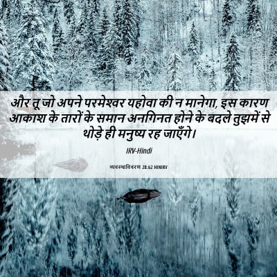Picture 06 - व्यवस्थाविवरण 28:62 HINIRV - और तू जो अपने - Bible Verse Picture