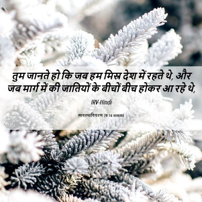 Picture 06 - व्यवस्थाविवरण 29:16 HINIRV - तुम जानते हो कि जब - Bible Verse Picture
