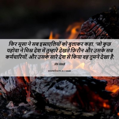 Picture 06 - व्यवस्थाविवरण 29:2 HINIRV - फिर मूसा ने सब - Bible Verse Picture
