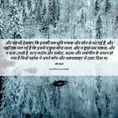 Picture 06 - व्यवस्थाविवरण 29:23 HINIRV - और यह भी देखकर कि - Bible Verse Picture