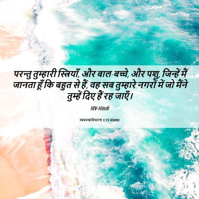 Picture 06 - व्यवस्थाविवरण 3:19 HINIRV - परन्तु तुम्हारी - Bible Verse Picture