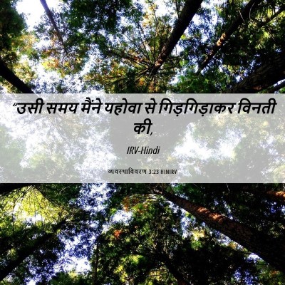 Picture 06 - व्यवस्थाविवरण 3:23 HINIRV - “उसी समय मैंने - Bible Verse Picture