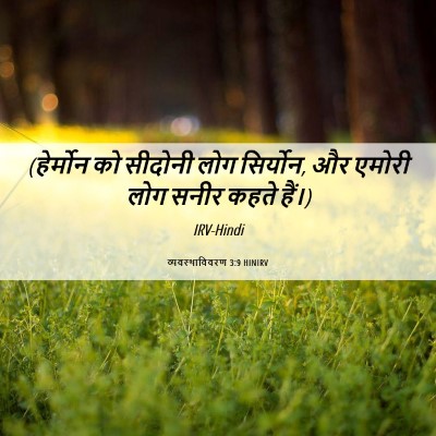 Picture 06 - व्यवस्थाविवरण 3:9 HINIRV - (हेर्मोन को सीदोनी - Bible Verse Picture