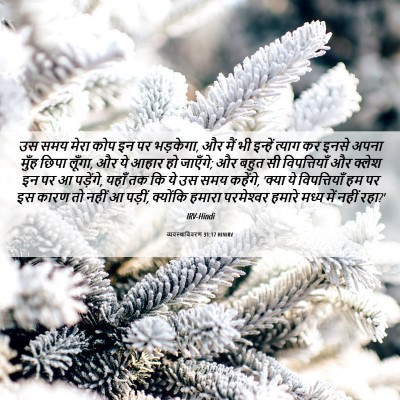 Picture 06 - व्यवस्थाविवरण 31:17 HINIRV - उस समय मेरा कोप इन - Bible Verse Picture