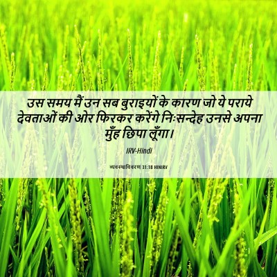 Picture 06 - व्यवस्थाविवरण 31:18 HINIRV - उस समय मैं उन सब - Bible Verse Picture