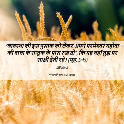 Picture 06 - व्यवस्थाविवरण 31:26 HINIRV - “व्यवस्था की इस - Bible Verse Picture