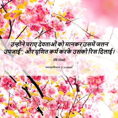Picture 06 - व्यवस्थाविवरण 32:16 HINIRV - उन्होंने पराए - Bible Verse Picture