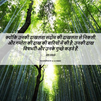 Picture 06 - व्यवस्थाविवरण 32:32 HINIRV - क्योंकि उनकी - Bible Verse Picture