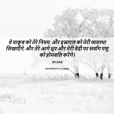 Picture 06 - व्यवस्थाविवरण 33:10 HINIRV - वे याकूब को तेरे - Bible Verse Picture