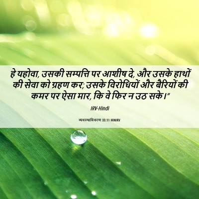 Picture 06 - व्यवस्थाविवरण 33:11 HINIRV - हे यहोवा, उसकी - Bible Verse Picture