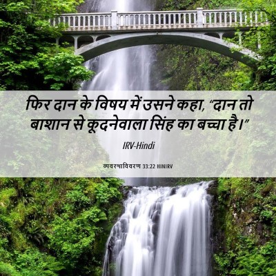 Picture 06 - व्यवस्थाविवरण 33:22 HINIRV - फिर दान के विषय में - Bible Verse Picture