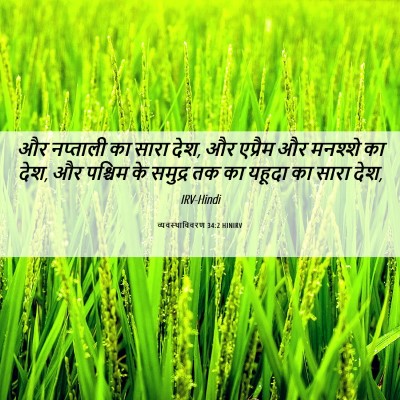 Picture 06 - व्यवस्थाविवरण 34:2 HINIRV - और नप्ताली का सारा - Bible Verse Picture