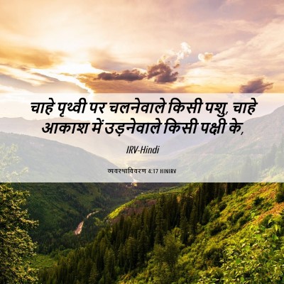 Picture 06 - व्यवस्थाविवरण 4:17 HINIRV - चाहे पृथ्वी पर - Bible Verse Picture