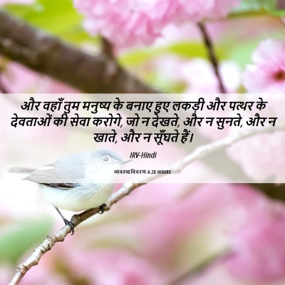 Picture 06 - व्यवस्थाविवरण 4:28 HINIRV - और वहाँ तुम मनुष्य - Bible Verse Picture