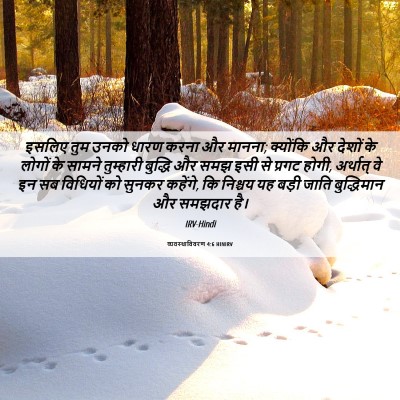 Picture 06 - व्यवस्थाविवरण 4:6 HINIRV - इसलिए तुम उनको - Bible Verse Picture
