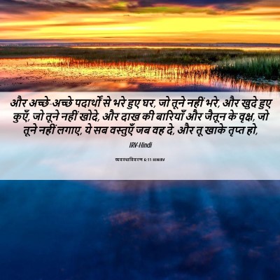 Picture 06 - व्यवस्थाविवरण 6:11 HINIRV - और अच्छे-अच्छे - Bible Verse Picture