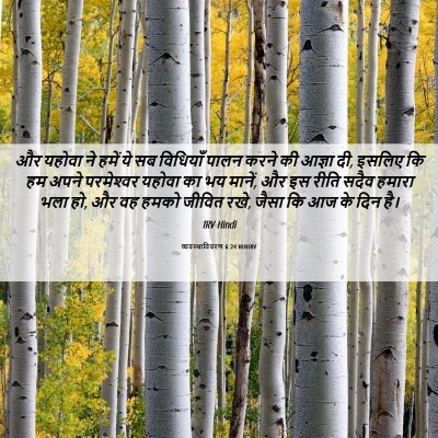 Picture 06 - व्यवस्थाविवरण 6:24 HINIRV - और यहोवा ने हमें ये - Bible Verse Picture