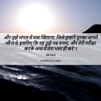 Picture 06 - व्यवस्थाविवरण 8:16 HINIRV - और तुझे जंगल में - Bible Verse Picture