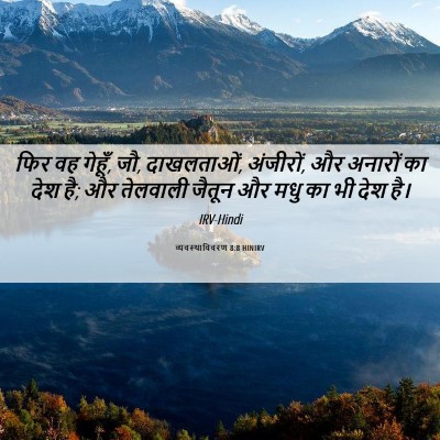 Picture 06 - व्यवस्थाविवरण 8:8 HINIRV - फिर वह गेहूँ, जौ, - Bible Verse Picture
