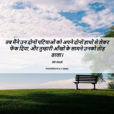 Picture 06 - व्यवस्थाविवरण 9:17 HINIRV - तब मैंने उन दोनों - Bible Verse Picture