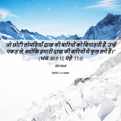 Picture 06 - श्रेष्ठगीत 2:15 HINIRV - जो छोटी लोमड़ियाँ - Bible Verse Picture