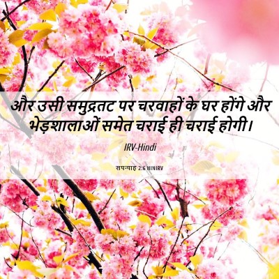 Picture 06 - सपन्याह 2:6 HINIRV - और उसी समुद्रतट पर - Bible Verse Picture