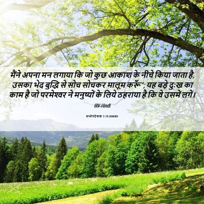 Picture 06 - सभोपदेशक 1:13 HINIRV - मैंने अपना मन - Bible Verse Picture