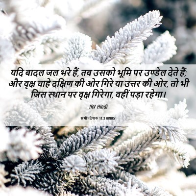 Picture 06 - सभोपदेशक 11:3 HINIRV - यदि बादल जल भरे - Bible Verse Picture