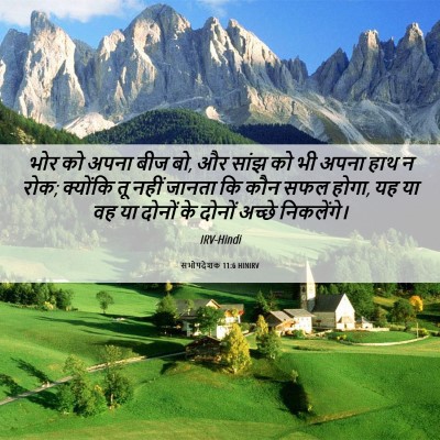 Picture 06 - सभोपदेशक 11:6 HINIRV - भोर को अपना बीज बो, - Bible Verse Picture
