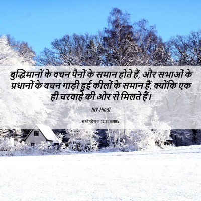 Picture 06 - सभोपदेशक 12:11 HINIRV - बुद्धिमानों के - Bible Verse Picture
