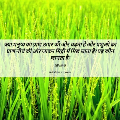 Picture 06 - सभोपदेशक 3:21 HINIRV - क्या मनुष्य का - Bible Verse Picture