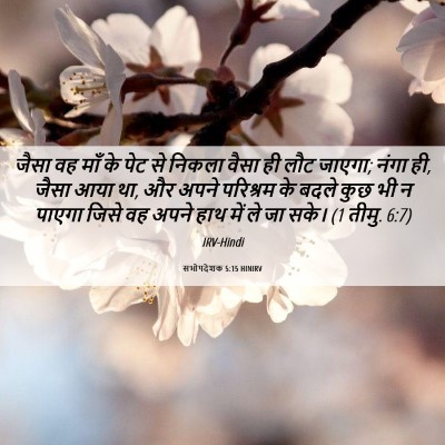Picture 06 - सभोपदेशक 5:15 HINIRV - जैसा वह माँ के पेट - Bible Verse Picture