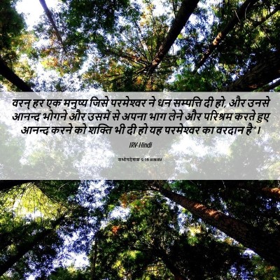 Picture 06 - सभोपदेशक 5:19 HINIRV - वरन् हर एक मनुष्य - Bible Verse Picture