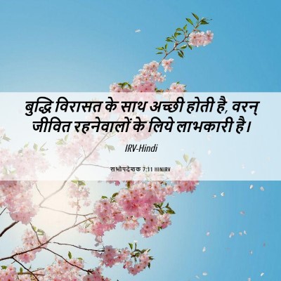 Picture 06 - सभोपदेशक 7:11 HINIRV - बुद्धि विरासत के - Bible Verse Picture