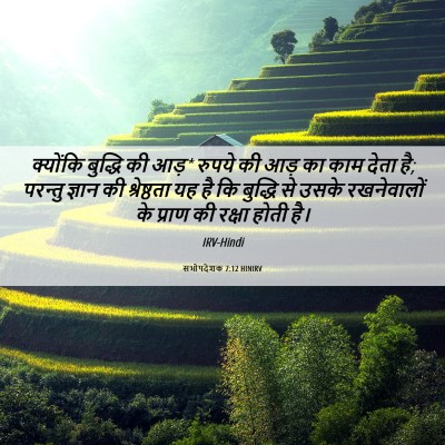 Picture 06 - सभोपदेशक 7:12 HINIRV - क्योंकि बुद्धि की - Bible Verse Picture