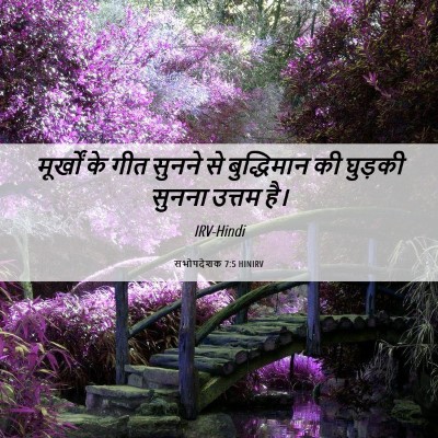 Picture 06 - सभोपदेशक 7:5 HINIRV - मूर्खों के गीत - Bible Verse Picture