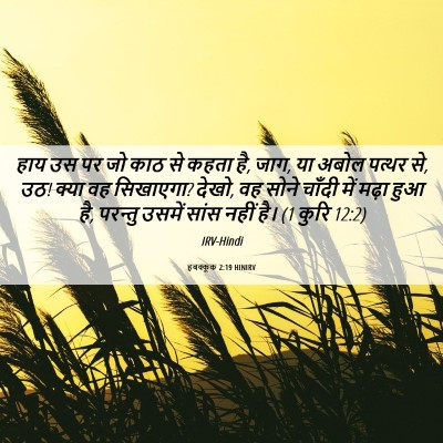Picture 06 - हबक्कूक 2:19 HINIRV - हाय उस पर जो काठ से - Bible Verse Picture