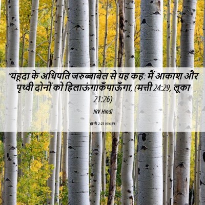 Picture 06 - हाग्गै 2:21 HINIRV - “यहूदा के अधिपति - Bible Verse Picture