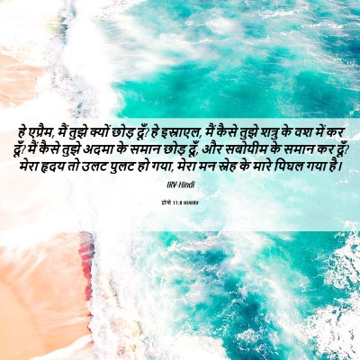 Picture 06 - होशे 11:8 HINIRV - हे एप्रैम, मैं तुझे - Bible Verse Picture