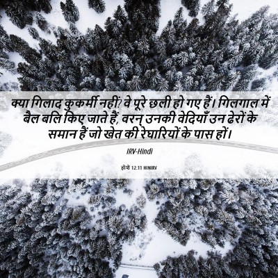 Picture 06 - होशे 12:11 HINIRV - क्या गिलाद - Bible Verse Picture