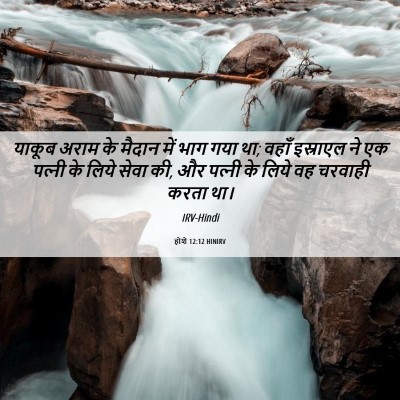 Picture 06 - होशे 12:12 HINIRV - याकूब अराम के - Bible Verse Picture