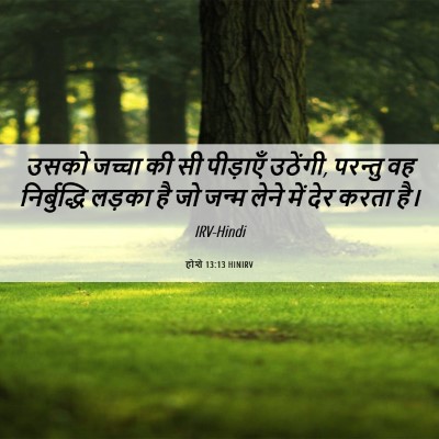 Picture 06 - होशे 13:13 HINIRV - उसको जच्चा की सी - Bible Verse Picture