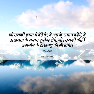 Picture 06 - होशे 14:7 HINIRV - जो उसकी छाया में - Bible Verse Picture