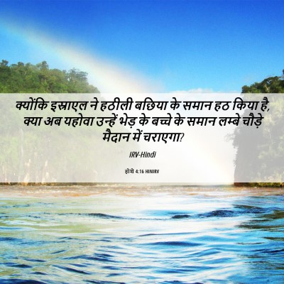 Picture 06 - होशे 4:16 HINIRV - क्‍योंकि इस्राएल - Bible Verse Picture
