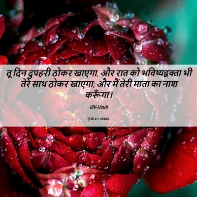 Picture 06 - होशे 4:5 HINIRV - तू दिन दुपहरी ठोकर - Bible Verse Picture