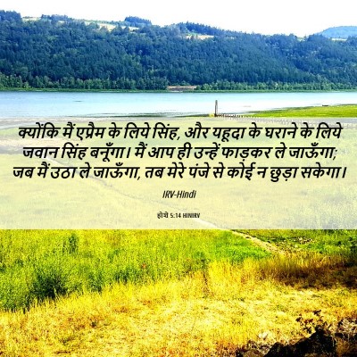 Picture 06 - होशे 5:14 HINIRV - क्योंकि मैं - Bible Verse Picture