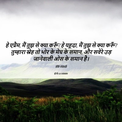 Picture 06 - होशे 6:4 HINIRV - हे एप्रैम, मैं तुझ - Bible Verse Picture