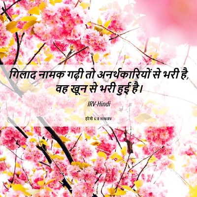 Picture 06 - होशे 6:8 HINIRV - गिलाद नामक गढ़ी तो - Bible Verse Picture