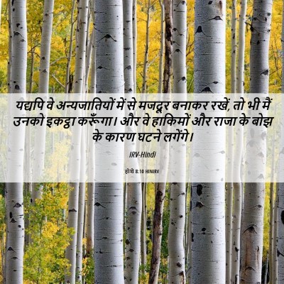 Picture 06 - होशे 8:10 HINIRV - यद्यपि वे - Bible Verse Picture