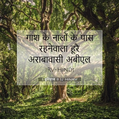 Picture 07 - 1 इतिहास 11:32 HINIRV - गाश के नालों के पास - Bible Verse Picture